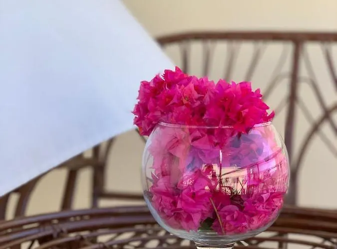 Aphrodite's Apartament